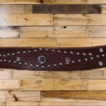 American Eagle outfitters leather belt! Photo 1