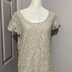 Talula  Cream Lace Floral Short Sleeve Blouse Keyhole Neck M Photo 0