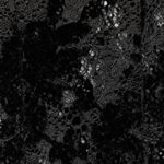 ZARA NWT Bodysuit Lace Mesh Velvet Detail Festive Days Collection Black Medium Photo 5