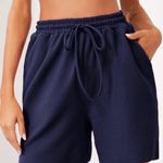 PacSun Jogger Shorts Photo 0