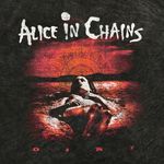 Alice In Chains Dirt Est 1987 Rock Band Mineral Wash T-Shirt Size 3X Photo 1