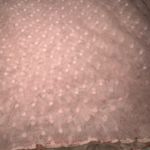 Mesh Short Sleeve Top Pink Size XS Photo 2