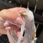 Free People  OFF THE SHOULDER BOHO BLOUSE Photo 3