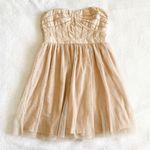 BCBGeneration Light Pink Strapless Dress Photo 0