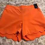 New York & Co. Orange Scalloped Shorts Photo 0