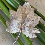 Vintage Sarah Coventry Maple Leaf Brooch Photo 0