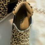 Coconuts by Matisse . Size7.5 M Photo 1