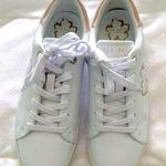 Ted Baker NWT  sneaker Photo 0