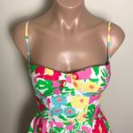Lilly Pulitzer Georgie Dress Ants on Parade Garden Photo 3
