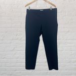 J.Jill  Navy Precision Stretch Ankle Pants 14P Photo 2
