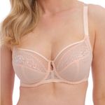 Fantasie Ann Photo 1