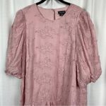 City Chic Crystal Pink Layla Babydoll Dress Sz.M(18) NWT Photo 5