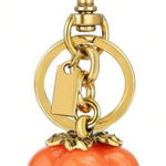 Pumpkin bag, charm key ring Orange Photo 0