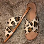 Ariat Unbridled Sandals Photo 1