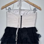 Alice + Olivia  Black and White Silk Blend Ruffle Skirt Mini Dress Size 2 Photo 4