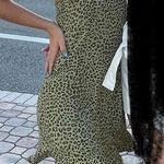 ZARA Green Cheetah Print Dress Photo 5