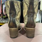 FREEBIRD by Steven Freebird Snake Cavalier Size 6 Photo 4