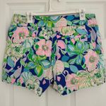 Lilly Pulitzer Kaden Shorts 4” Multi Beak Calm Carry On Bow Belt Women’s 10 Photo 3