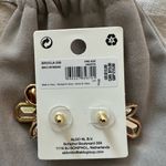 ALDO Brown and Gold Gemstone Earrings Photo 3