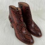 Madewell  The Rosie Snake Embossed Leather Ankle Boot Size 8.5 Photo 7