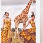 Alexis  Lussa Tiered Chiffon Floral Maxi Dress Size XS Photo 1