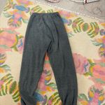 Aviator Nation Grey  Sweatpants Photo 2