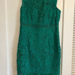 Bardot  lace body con cocktail dress Photo 0