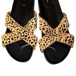 Birdies Robin Cheetah Slide Women's Criss Cross Sandals Flats Size 10 Tan Photo 3