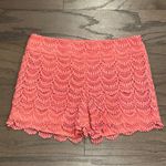 Loft  Pink Crochet Shorts - Size 00 Photo 0