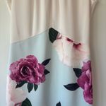 Ted Baker  Annile Magnificent Floral Butterfly Knee Length Sheath Dress Formal Photo 4