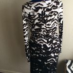 Banana Republic  Animal Print Long Sleeve Dress Photo 1