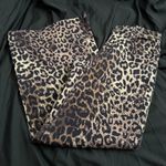 Dolls Kill Delia’s Leopard Print Pants Photo 1