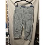 We The Free NWT  Moxie Railroad Low-Slung Jeans Size 28 Dark Slate Button Fly Photo 5