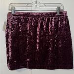 Abound Nordstrom  Crushed Velvet Velour Mini Skirt Retro 90s Y2K Women’s L Large Photo 3