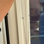 long horn pendant chain Photo 1