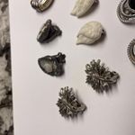 Lot Of 5 Vintage Photo 2