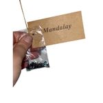 NWT Mandalay Grey Silver Beaded Sequin Lace Mini Cocktail Evening Dress Womens 6 Gray Photo 11