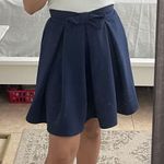 ZARA Navy Blue Skirt Photo 0