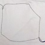 American Eagle Layering Necklaces Photo 0