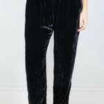 CP Shades  Black Velvet Amal Straight Leg Pants medium Photo 0