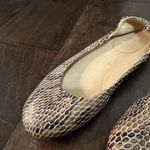 Stuart Weitzman Women's  Snakeskin Ballet Flats Shoes Sz 7 M Photo 8
