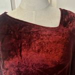 Michael Stars red velvet asymmetrical long sleeve pullover Photo 9