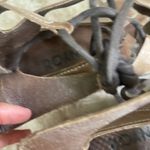 Roan Roan Winnie distressed leather gladiator sandals Taupe Leather Lace Up 7.5 Brown Photo 5