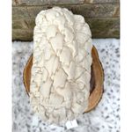 Lucky Brand NWT Joan Quilted Shoulder Bag Photo 9