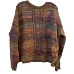 Charlie B Chunky Knit Multi Color Cable Knit Sweater TG XL Brown Size undefined Photo 0