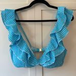 Lilly Pulitzer Lily Pulitzer Women’s NWOT Aelin Crinkle Bikini Top Size 12 Photo 0