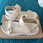 Coach  brynn sandal Photo 0