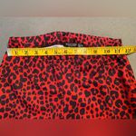 Nasty Gal ‎ yoga style animal print, wide leg  pants, size 4 Photo 3