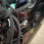 Pleaser Delight Photo 4