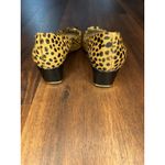 Diane Von Furstenburg Bonnie Calfhair Pumps w/ Gold Buckle Size 6.5 EUC!! Photo 5